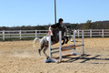 Josie Howard on Shenandoah Sea Lily, Beginner Novice Horse Trials Senior B