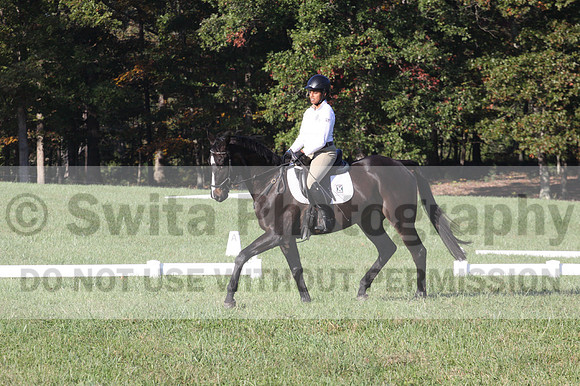 Anna White on Rocking The Ark, Novice Horse Trials Senior A