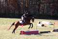 Abby Loving on Royal Filigree, Advanced Green Horse Trials Senior A