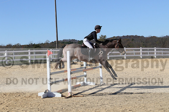 Alex Holliday on Partly Cloudy, Novice Horse Trials Junior