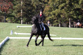 Melissa Kenny on F.O. Calculated Risk, Novice Horse Trials Senior B