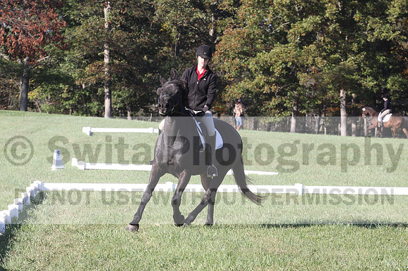 Melissa Kenny on F.O. Calculated Risk, Novice Horse Trials Senior B