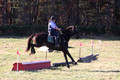 Corinne McCoy on FGF Midnight Harmony, Advanced Green Horse Trials Senior A