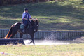 Corinne McCoy on FGF Midnight Harmony, Advanced Green Horse Trials Senior A