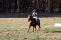 Kylie Oseguera on Boss Man, Advanced Green Horse Trials Junior B