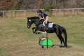 Leah Childers on Priscilla, Beginner Novice Horse Trials Junior B