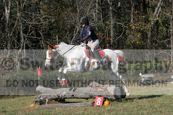 Corrine Woods on Chief's Star Dreammaker, Beginner Novice Horse Trials Senior B