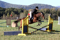 Kathleen Pimblett on Royal Grace, Green Horse Trials