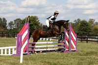 175.Bayley.Brooke.Dandy Lion.OBN.175