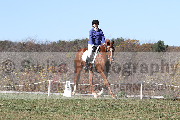 Suzy Gehris on Steddy Eddy, Beginner Novice Horse Trials Senior C