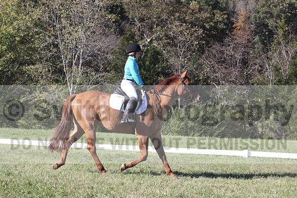 Clay Cooke on Clifford Dun It Again, Advanced Green Horse Trials B
