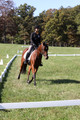 Katie LaValle on High Speed Internet, Beginner Novice Horse Trials Senior A