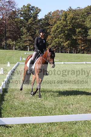 Katie LaValle on High Speed Internet, Beginner Novice Horse Trials Senior A