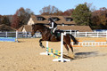 Ella Grier on Jean Louis Finch, Advanced Green Horse Trials Junior B
