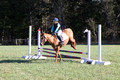 Clay Cooke on Clifford Dun It Again, Advanced Green Horse Trials B
