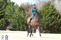 Hoiness.Kelsey.Woodview Diamond Star.Prelim C