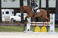 Chan.Lisa.Fernhill Picture This.SJ-Training.365