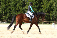 Swann.Becca.Delmonico.T-CT-B.359