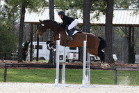 Hebets Miller.Brittany.Championesse De La Coeur.T-CT-B.360