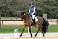 ED4L1200