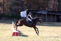 Ella Grier on Jean Louis Finch, Advanced Green Horse Trials Junior B