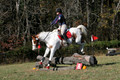 Corrine Woods on Chief's Star Dreammaker, Beginner Novice Horse Trials Senior B