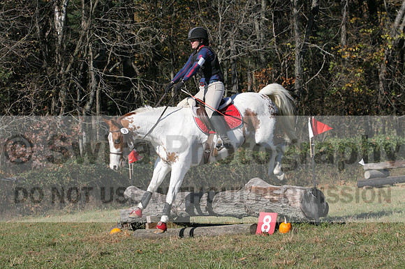 Corrine Woods on Chief's Star Dreammaker, Beginner Novice Horse Trials Senior B
