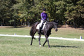 Judy Lancaster on Ride Sallie Ride, Beginner Novice Horse Trials Senior B