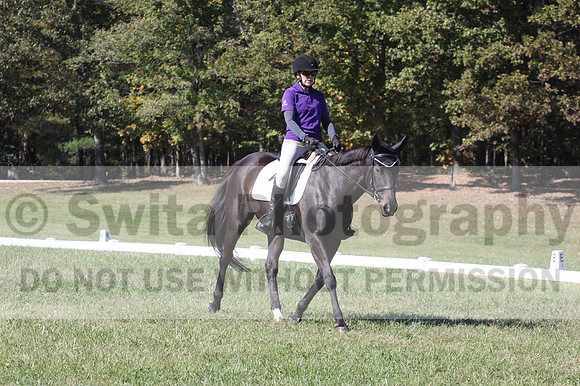 Judy Lancaster on Ride Sallie Ride, Beginner Novice Horse Trials Senior B