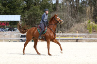 Wiggins.Audrey.Chantilly Rouge.SJ-GAG.337