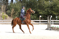Wiggins.Audrey.Chantilly Rouge.SJ-Starter.337