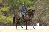 Hambleton.Anne.D'Arpino BC.G-CT-B.341