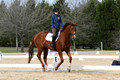 P24Q0341