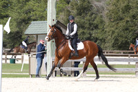 Howes Warren.Amy.Ballymores Southern Belle.G-CT-A.276