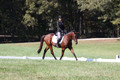 Katie LaValle on High Speed Internet, Beginner Novice Horse Trials Senior A