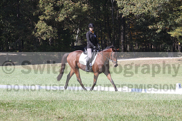 Katie LaValle on High Speed Internet, Beginner Novice Horse Trials Senior A