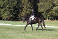 Melissa Kenny on F.O. Calculated Risk, Novice Horse Trials Senior B