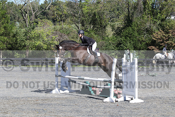 Wenzhao Zhang on High Roller, Beginner Novice Senior Horse Trials A
