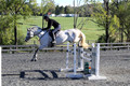 Liz Riley on Ice Storm, Novice HT