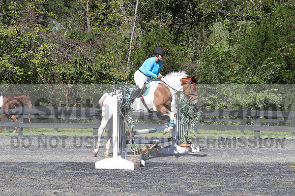 Natascha Schroll-McLaughlin on Play Girl, Beginner Novice Senior HT B