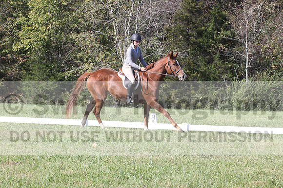 Haley Morrissey on Picturesque Serenade, Advanced Green Horse Trials A