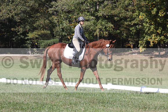 Jenny Rosner on Curious, Beginner Novice Horse Trials Senior A