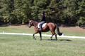 Elaine Groves on Luidonna, Beginner Novice Horse Trials Senior B