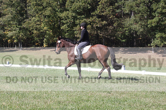 Elaine Groves on Luidonna, Beginner Novice Horse Trials Senior B