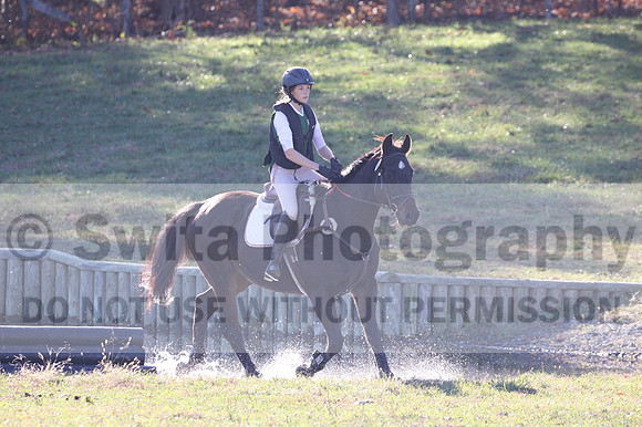 Dorothy Lower on The Wizard Of Oz, Advanced Green Horse Trials Junior A