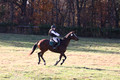 Ella Grier on Jean Louis Finch, Advanced Green Horse Trials Junior B