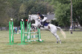 Abigail Winfree on Armani IV, JOT