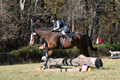 Wyatt Wilkerson on Troublemaker, Beginner Novice Horse Trials Junior A