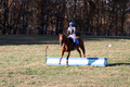 Kylie Oseguera on Boss Man, Advanced Green Horse Trials Junior B