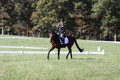 Katie LaValle on High Speed Internet, Beginner Novice Horse Trials Senior A